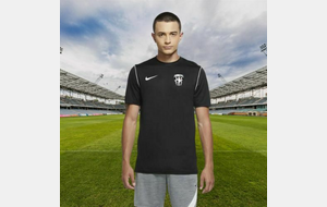 Maillot d'entraînement Nike Park 20 pour homme