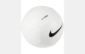 Ballon Nike Pitch Team